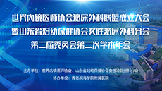 青岛滨海学院附属医院再办学术盛宴 | 世界内镜医师协会泌尿外科联盟成立大会即将召开